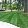 Weed Free Lawns gallery