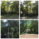 Southern Tree Experts - Tree Service