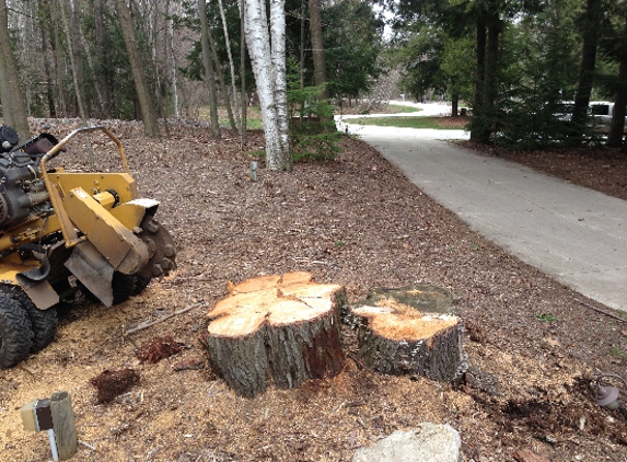 Affordable Stump Grinding LLC