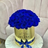My Divine Decors gallery