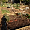 Zaferia Junction Community Garden gallery