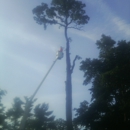 Al Watson Tree Svc - Tree Service