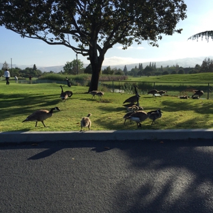 San Jose Municipal Golf Course - San Jose, CA