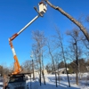 Norgren Tree Services Inc gallery