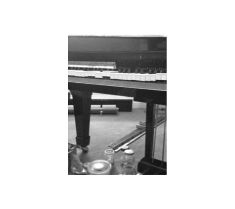 Emanuel Rey Mobile Piano Builder & Technician - Winmalee, NSW