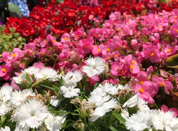 Sloat Garden Center - San Rafael, CA