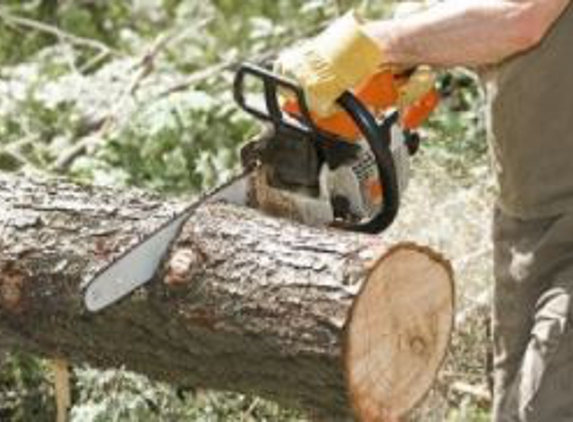 Eckman Tree Service - Windham, OH