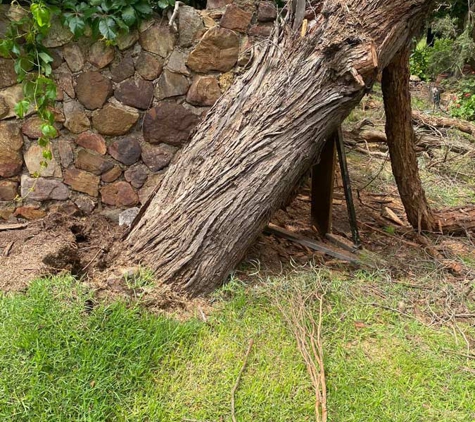 Hilltops Vegetation Services - Young, NSW