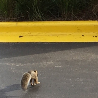 Courtyard by Marriott - Arlington Heights, IL