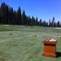 Lahontan Golf Club