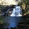 Rutledge Falls Baptist Church gallery