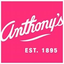 Anthony's Ladies Apparel - Women's Clothing