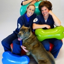 Canine Rehabilitation and Arthritis Center - Veterinary Clinics & Hospitals