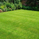 Emerald Lawn Care - Gardeners