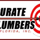 Accurate Plumbers Of Florida