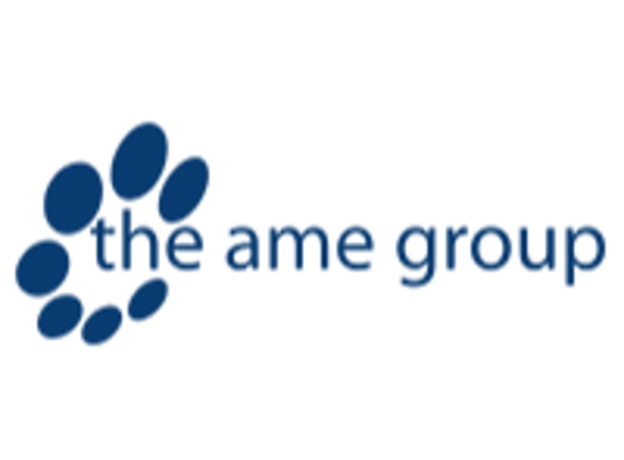 The AME Group - Indianapolis, IN