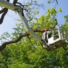 Mitchells Tree Service