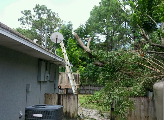 A Pro Quality Electric Service Corp - Palm Bay, FL. Tree cut back away from power lines.  No real damage! All is safe!