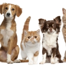 D'Iberville Veterinary Hospital - Veterinary Clinics & Hospitals