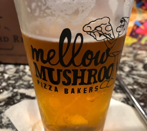 Mellow Mushroom - Tampa, FL