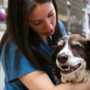 Stevenson Village Veterinary Hospital - Veterinary Clinics & Hospitals