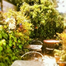 Firefly Coffee House - Coffee & Espresso Restaurants