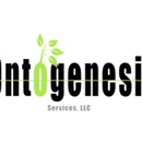 Ontogenesis Services llc - Credit Repair Service