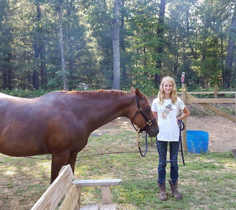 Little Bit's Horse Sense & Horse Training - Newaygo, MI