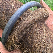 Gallery Image Number 6