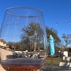 Rancho Roble Vineyards gallery