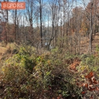 Heritage Land Management