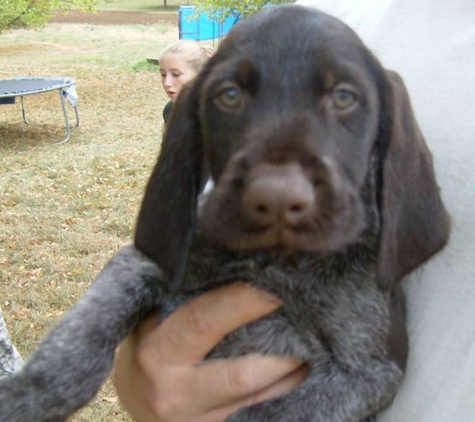 Academy Dog Training of Central Jersey - Allentown, NJ