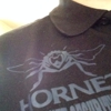 Dark Hornet Security intl. gallery