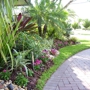 Lisa James Curb Appeal Gardening Services