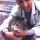 Animal Clinic of Bay Ridge - Veterinarians