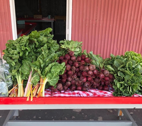 Orbaker's Farm Market - Williamson, NY