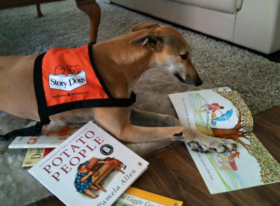 Story Dogs - Melbourne, VIC. 'Holly' is a champ, love seeing the photos of the happy kids reading