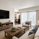Seneca Bay Apartment Homes - Apartments