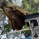 Orlando Bee Removal Expert - Bee Control & Removal Service