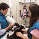Pets & Vets Animal Clinic - Veterinarians