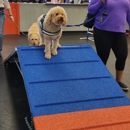 Zoom Room Dog Training - Springfield - Pet Training