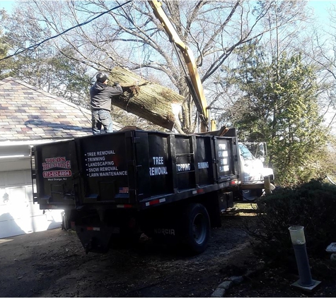 Tico's Tree Svc LLC - Orange, NJ