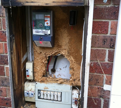 Select Essential Pty Ltd - Keysborough, VIC