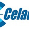 Celadon Trucking Services gallery