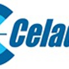 Celadon Trucking Services