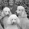 Southern Paws Pet Sitting/Daily Dog Walking gallery