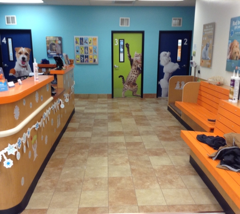 Banfield Pet Hospital - Newport News, VA