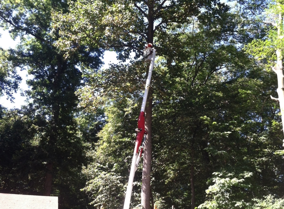 Arbor Master Tree Service - Pinckney, MI