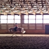 Heartland Stables of Custer gallery