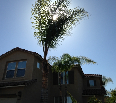 Ricardo's Landscaping & Tree Service - Rancho Cucamonga, CA